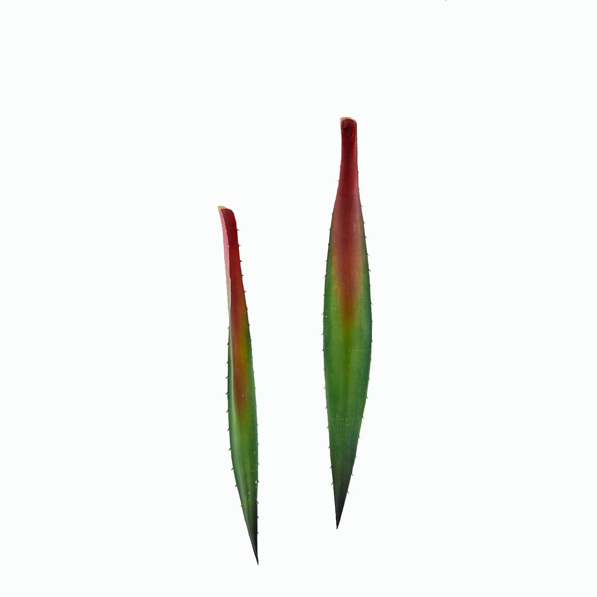Foglie di Aloe finta 2Pz/Ass: piante artificiali di qualità  - 235159