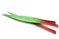 Foglie di Aloe finta 2Pz/Ass: piante artificiali di qualità  - 235159