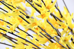 Ramo di Forsizia gialla: fiori artificiali di alta qualit&agrave; - 214234,20