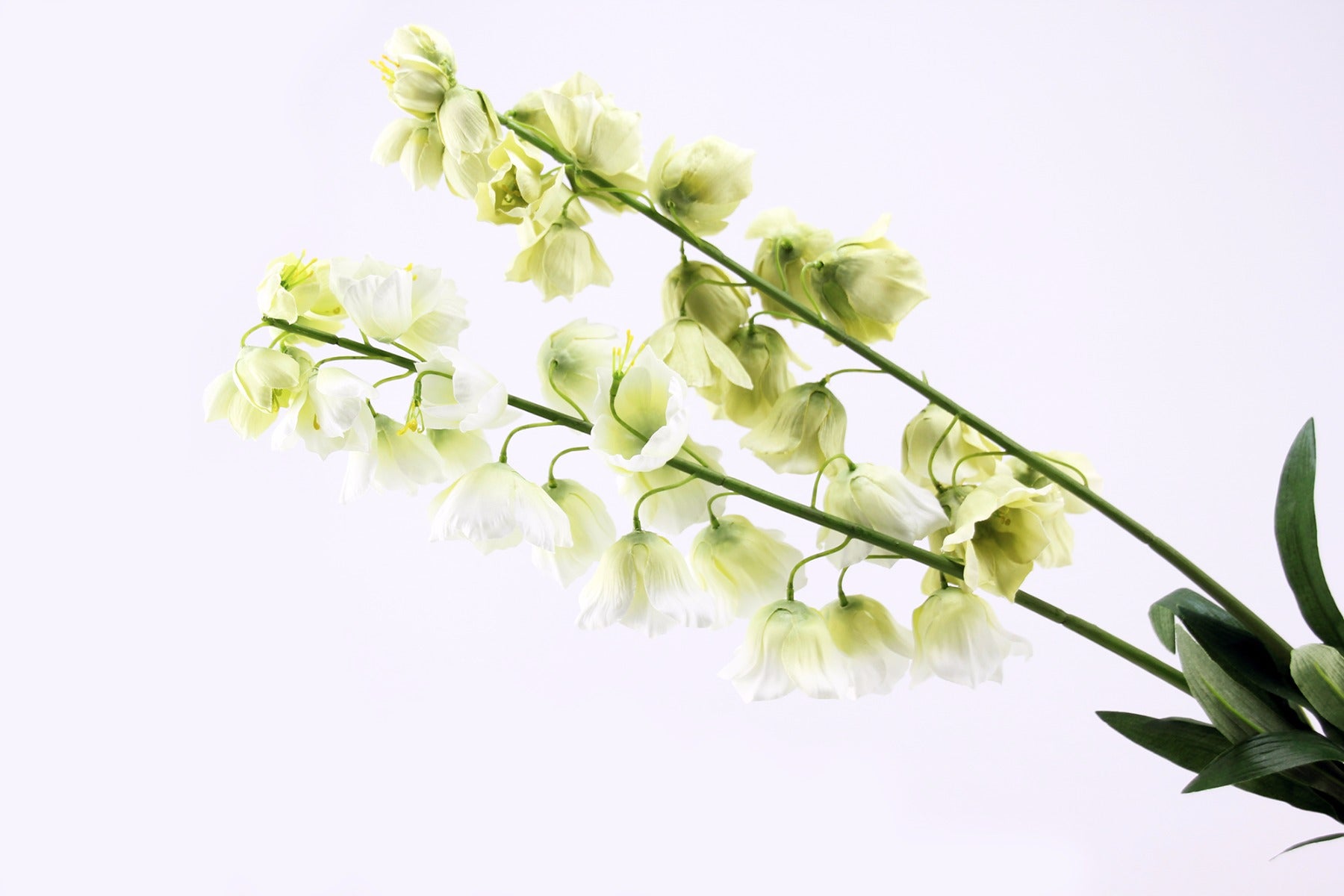Fiori di Fritillaria: fiori artificiali di alta qualità  - 213698,17