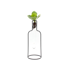 Clusia Idro Bottle Silhouette | Piante idroponiche in vasi di design Limited Edition  - idro-27323