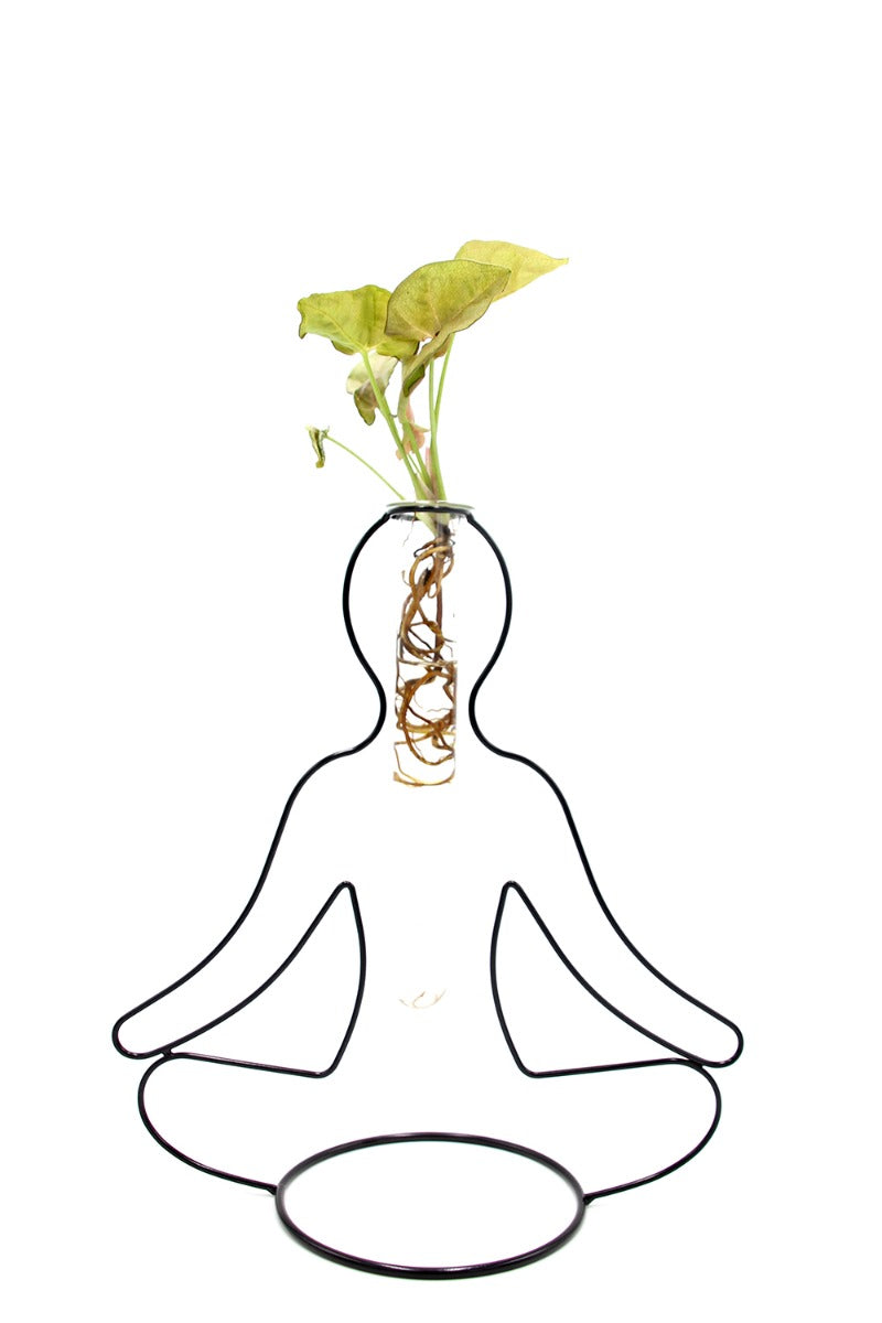 Syngonium Rosa Idro Yoga | Piante idroponiche in vasi di design Limited Edition  - idro-27584