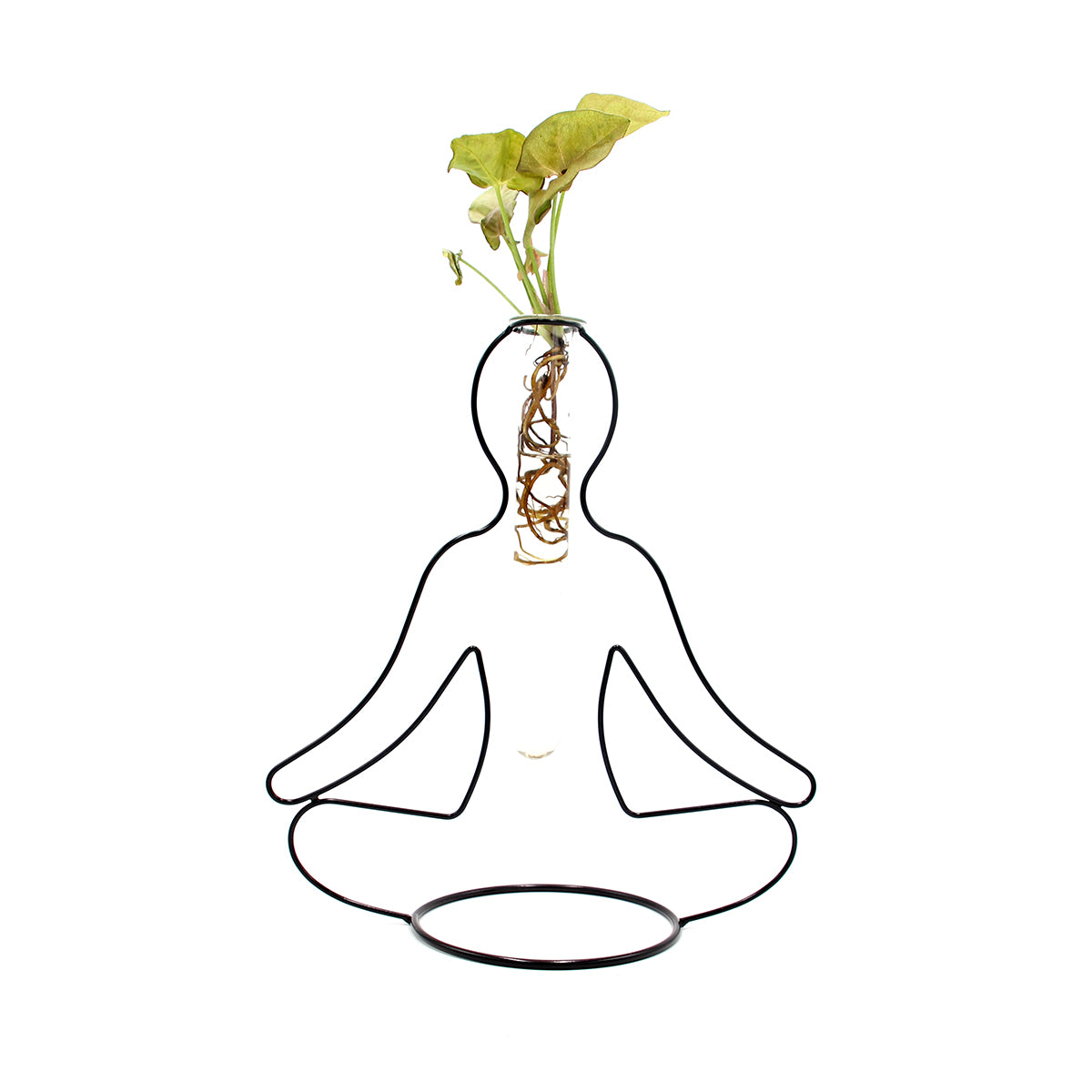Syngonium Rosa Idro Yoga | Piante idroponiche in vasi di design Limited Edition  - idro-27584