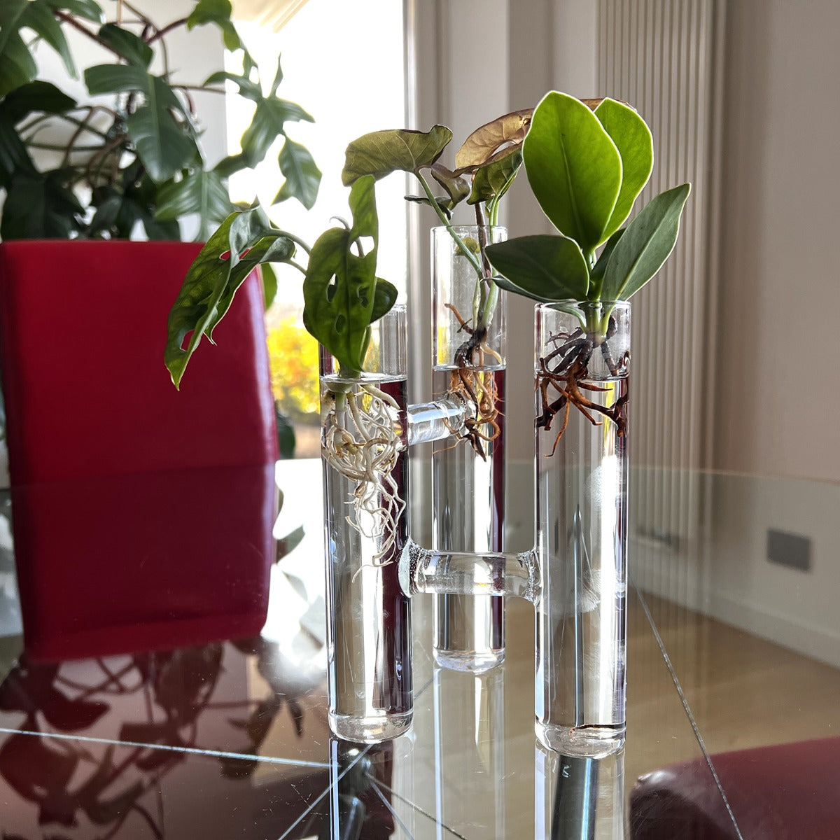 Triplo tubo Idro | Piante idroponiche in vaso triplo tubo Limited Edition  - Triplo_idro