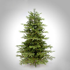 Pino Imperial H210 LED| Albero di Natale artificiale Real Touch con 3200 MicroLed - 678305