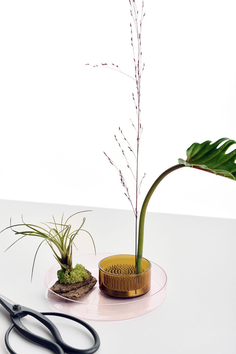 KENZAN - Set vassoio ambra 6,5cm + vassoio rosa 15cm + flower frog in ottone 5cm - by Denis Guidone - 09313191