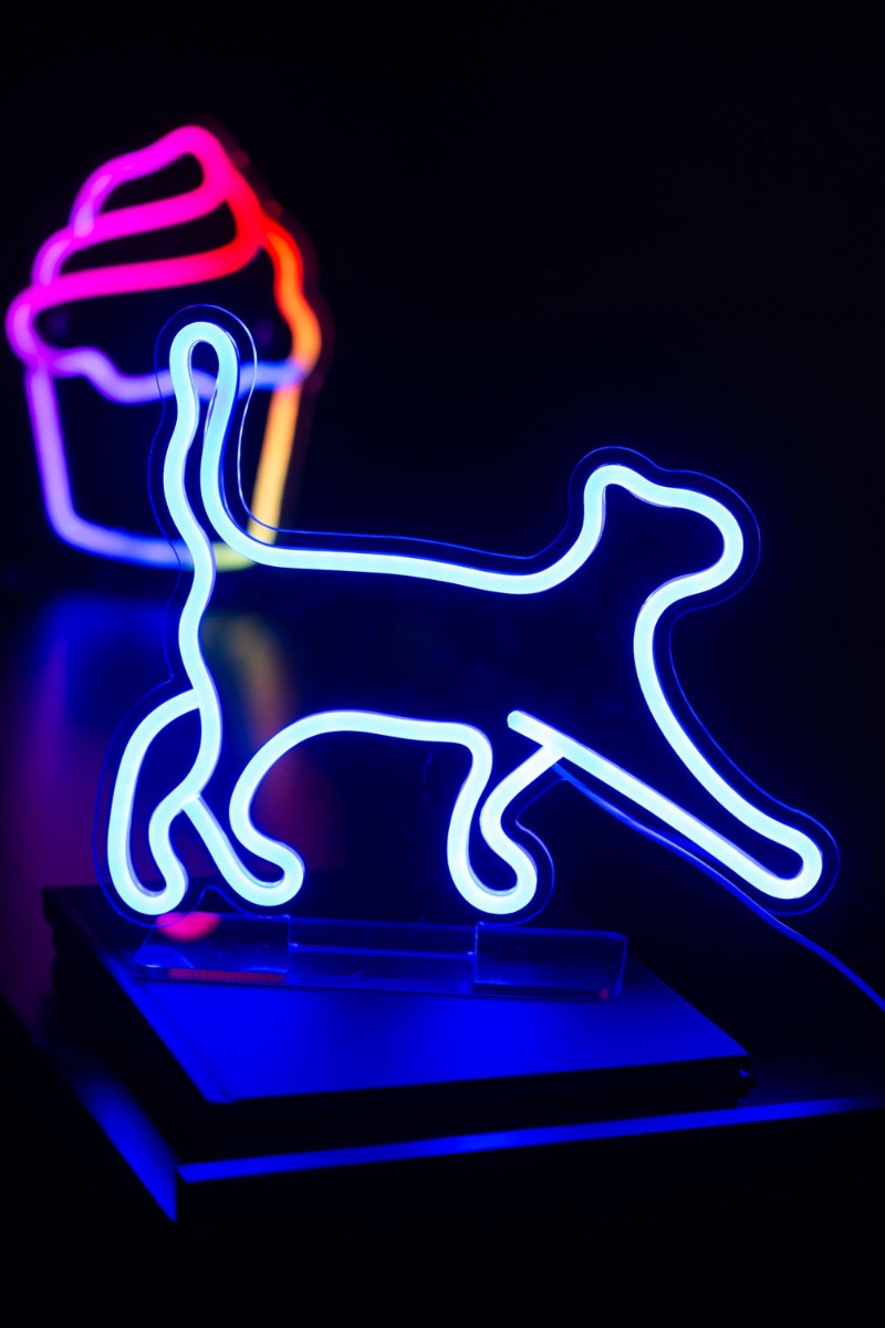 Lampada Neon LED Walking Cat Blue - LM2274BL
