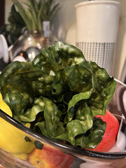 Lattuga Cespo Artificiale D15xH15 cm - Decorazione Ultra Realistica