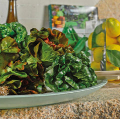 Lattuga Cespo Artificiale D15xH15 cm - Decorazione Ultra Realistica