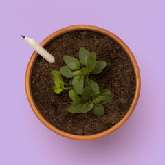 Matita Piantabile di Fiori – Matita Ecosostenibile in Carta Riciclata con Semi