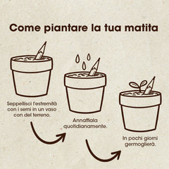 Set di 5 Matite Piantabili – Matite Ecologiche in Carta Riciclata con Semi