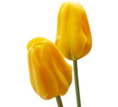 Bouquet 3 Tulipani Gialli Real Touch H48 | Fiori artificiali di qualit&agrave; - 216120,20