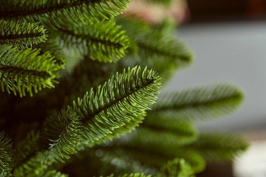 Pino Merano H210CM | Albero di Natale artificiale  - 674485