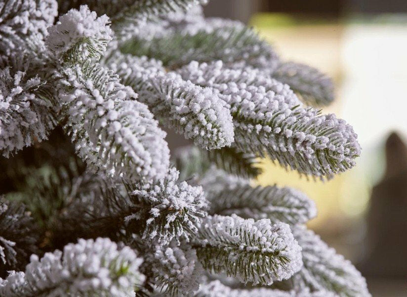 Pino Merano Innevato LED | Albero di Natale artificiale innevato con luci LED integrati - CONFIG0240
