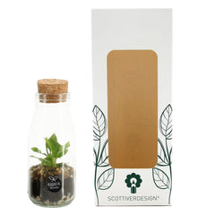 Bomboniera Eco Friendly | Mini Terrarium in Bottiglietta di Vetro con Tappo di Sughero - HAR_KLTG00