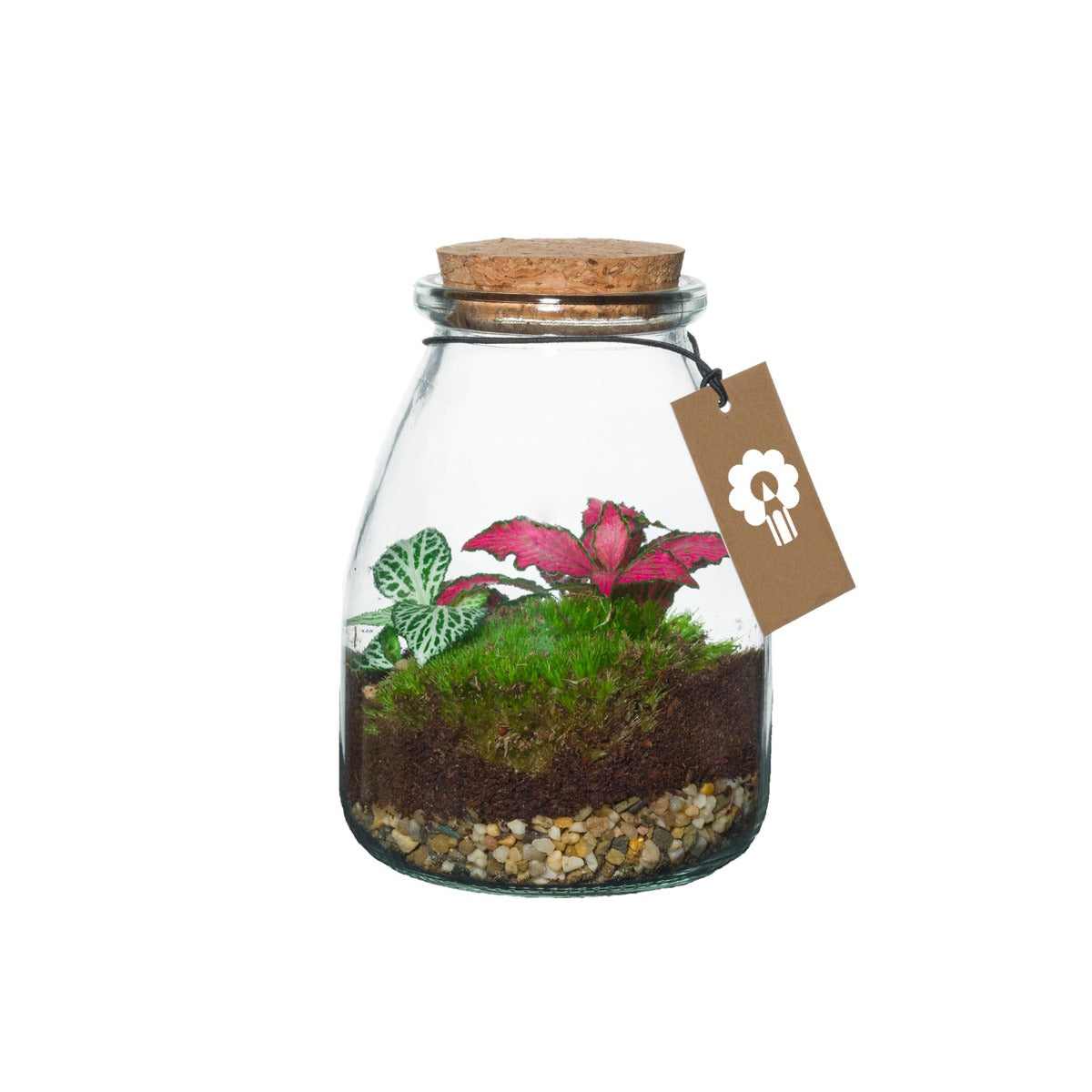 Bomboniera Green | Mini Terrarium in vasetto di vetro con tappo di sughero - HAR_L1RY00