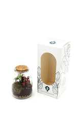 Bomboniera Green | Mini Terrarium in vasetto di vetro con tappo di sughero - HAR_L1RY00