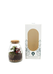 Bomboniera Green | Mini Terrarium in vasetto di vetro con tappo di sughero - HAR_L1RY00
