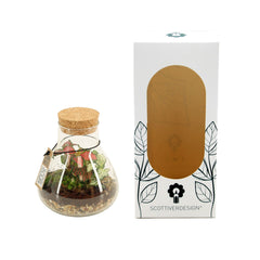 Bomboniera Green | Terrarium New Laborantin  - HAR_L3W500