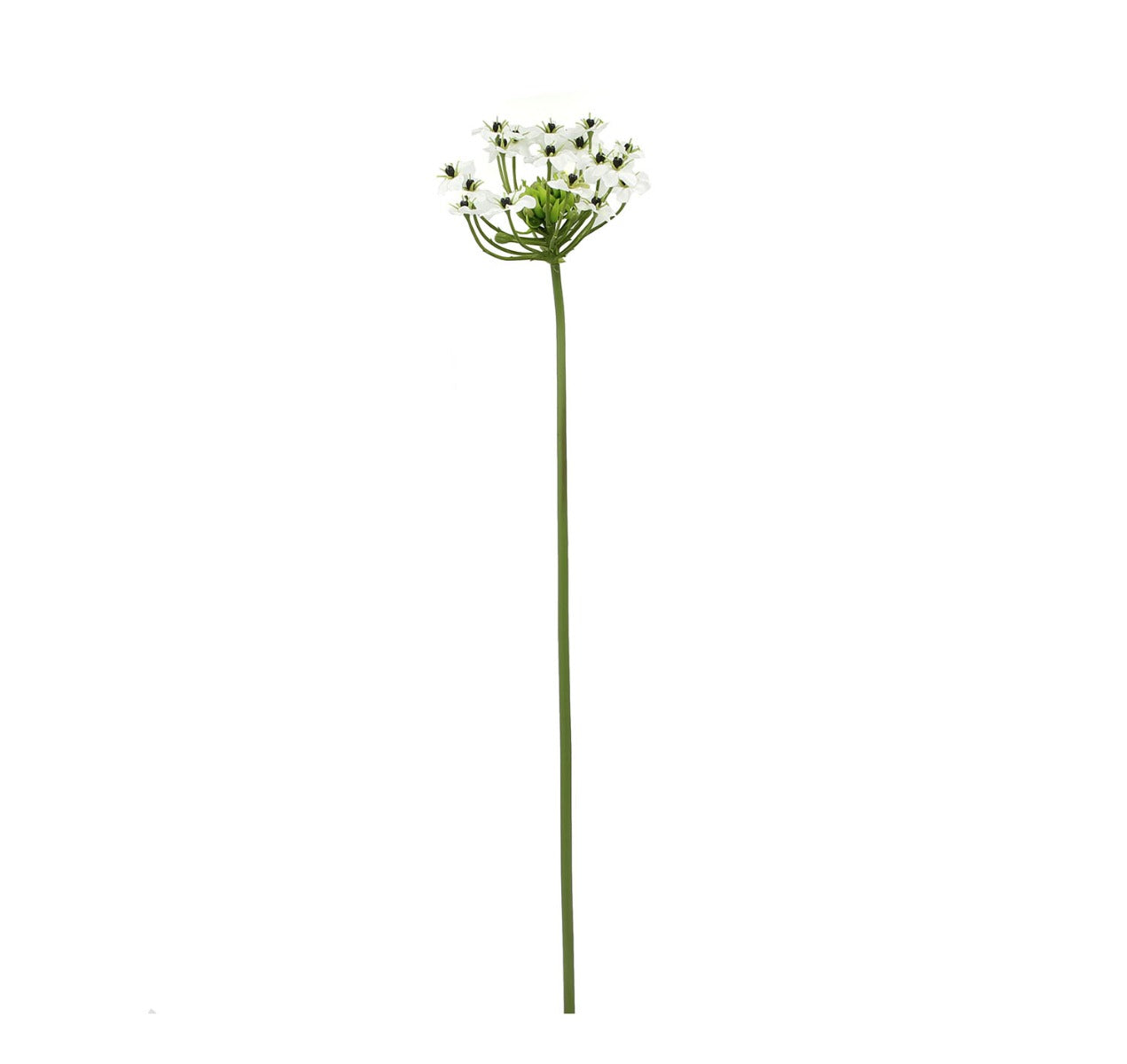 Fiore di Ornitogallo artificiale H67 : Fiori artificiali di qualità - 215003