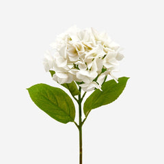 Ortensia artificiale Bianca Real Touch H50 | Fiori artificiali Real Touch - 215750,12