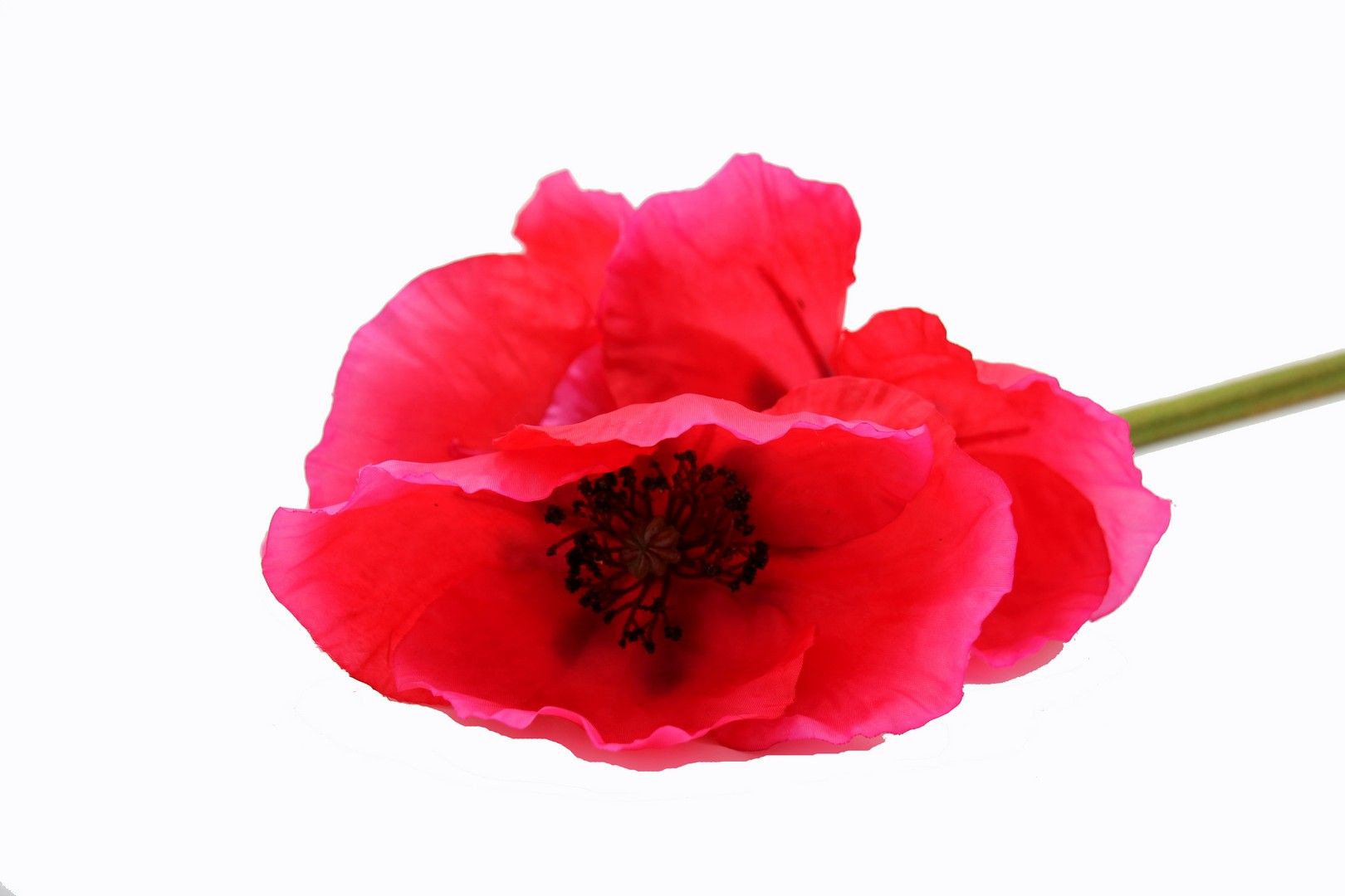 Papavero rosso fiore finto: fiori artificiali di alta qualità  - 686570
