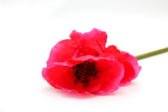 Papavero rosso fiore finto: fiori artificiali di alta qualità  - 686570