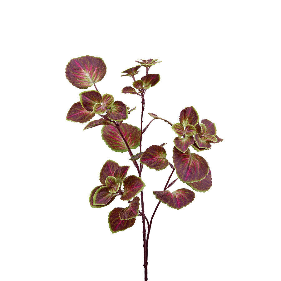 Pianta Artificiale di Coleus H32 - Piante Artificiali di Qualità