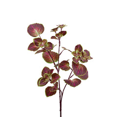 Pianta Artificiale di Coleus H32 - Piante Artificiali di Qualità