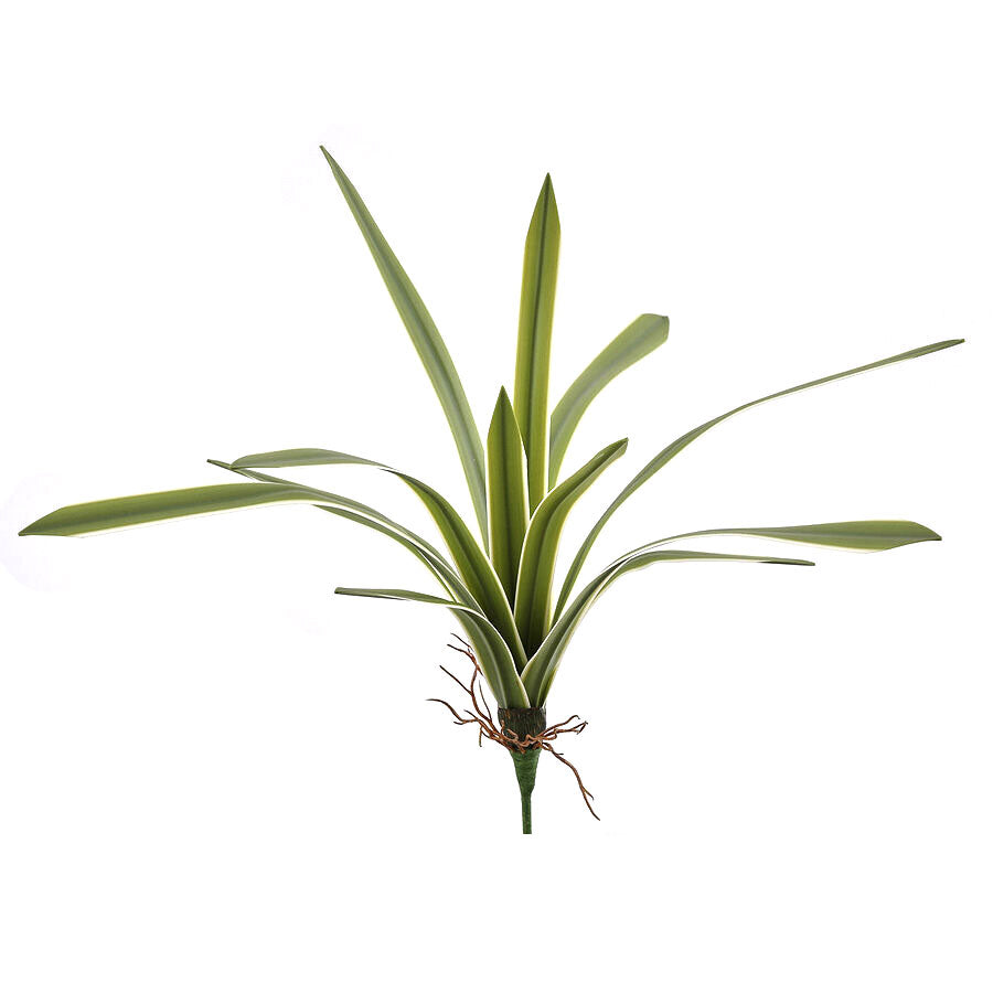 Cespuglio Falangio Variegato H51 Real Touch 12 Foglie - 231869