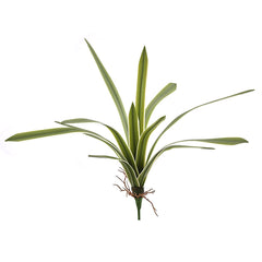Cespuglio Falangio Variegato H51 Real Touch 12 Foglie - 231869