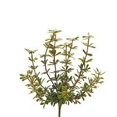 Pianta Artificiale di Portulacca H27 Cm - Piante artificiali di Qualit&agrave; - 2300204A100