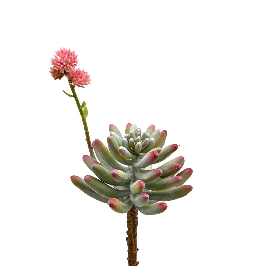Piantina Artificiale di Sedum con Fiore Real Touch H24 D12 &ndash; Realismo e Stile per Ogni Ambiente - 232898