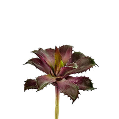Pianta Artificiale di Echeveria Rossa H15 – Piante Artificiali di Qualità