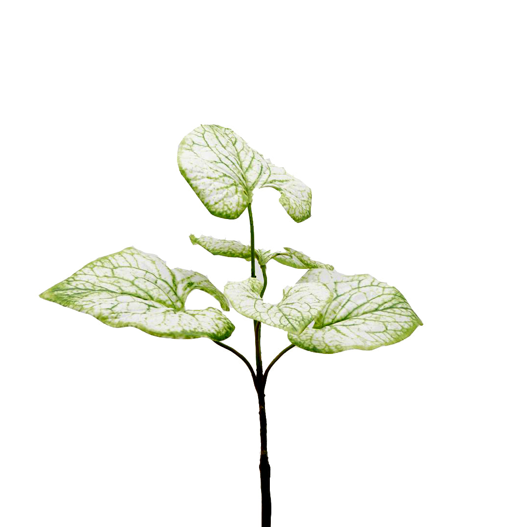 Brunnera artificiale bianca e verde H40 - 232845,17