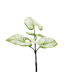 Brunnera artificiale bianca e verde H40 - 232845,17