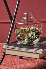 Pianta artificiale di Echeveria Alata - 232229