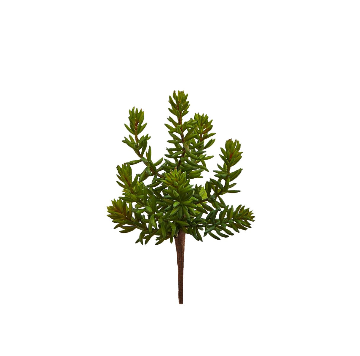 Pianta succulenta artificiale H25 : Piante grasse artificiali di qualit&agrave; - 232441