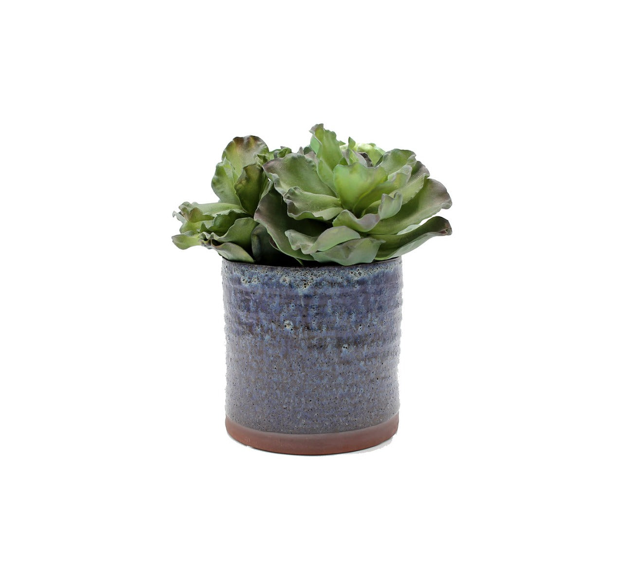 Pianta Succulenta artificiale H20 - 231606,95