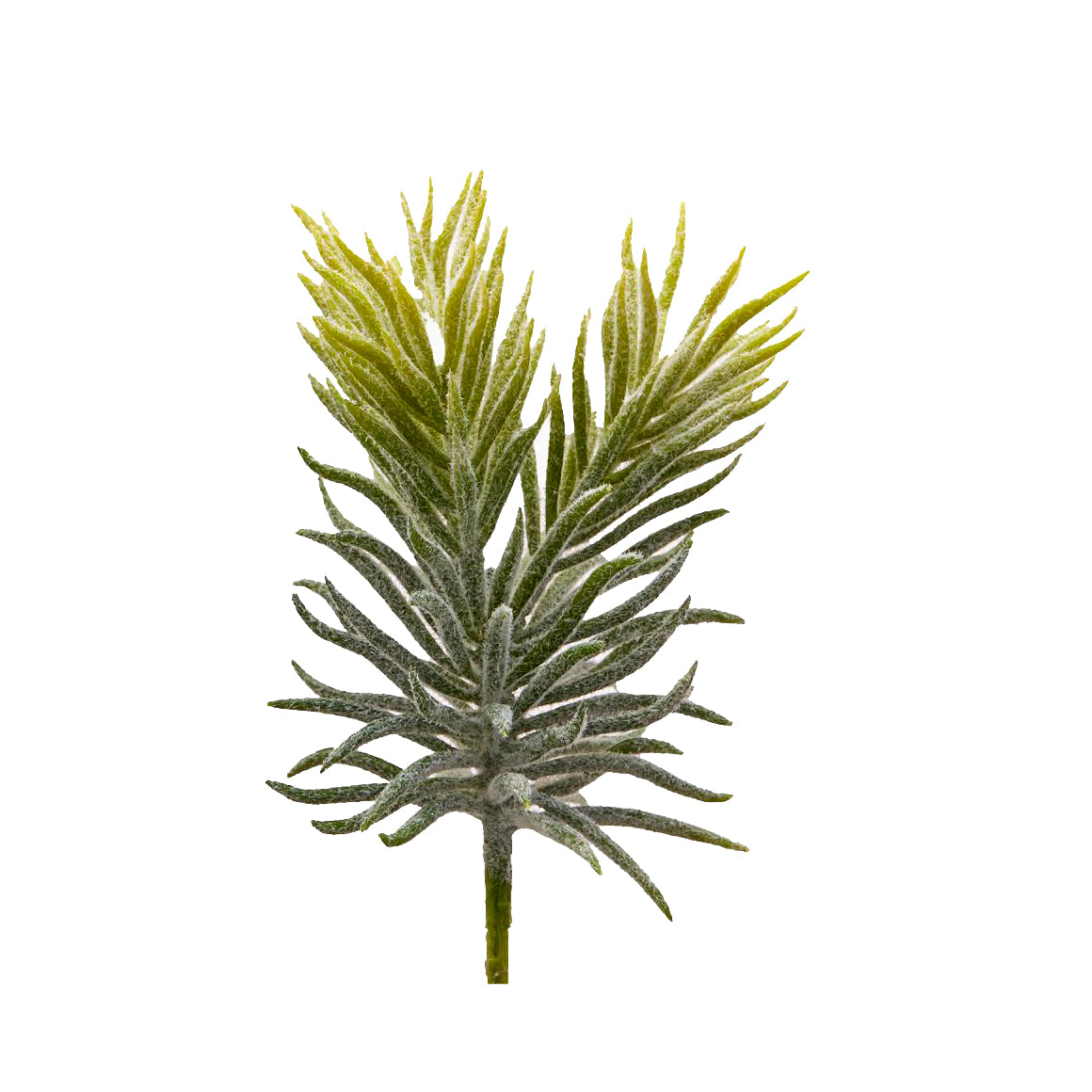 Pianta Succulent Olis Pick H18 | Piante succulente artificiali - 232974