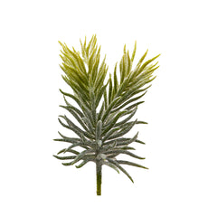 Pianta Succulent Olis Pick H18 | Piante succulente artificiali - 232974