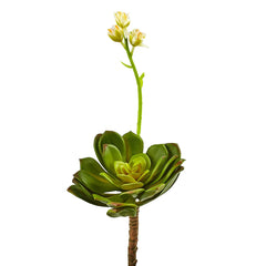Pianta artificiale di Echeveria con fiore : Piante artificiali di qualit&agrave; - 231058