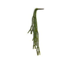 Euphorbia cadente artificiale H66 : Piante succulente artificiali - 232059