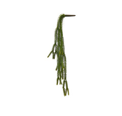 Euphorbia cadente artificiale H51 : Piante succulente artificiali - 232058