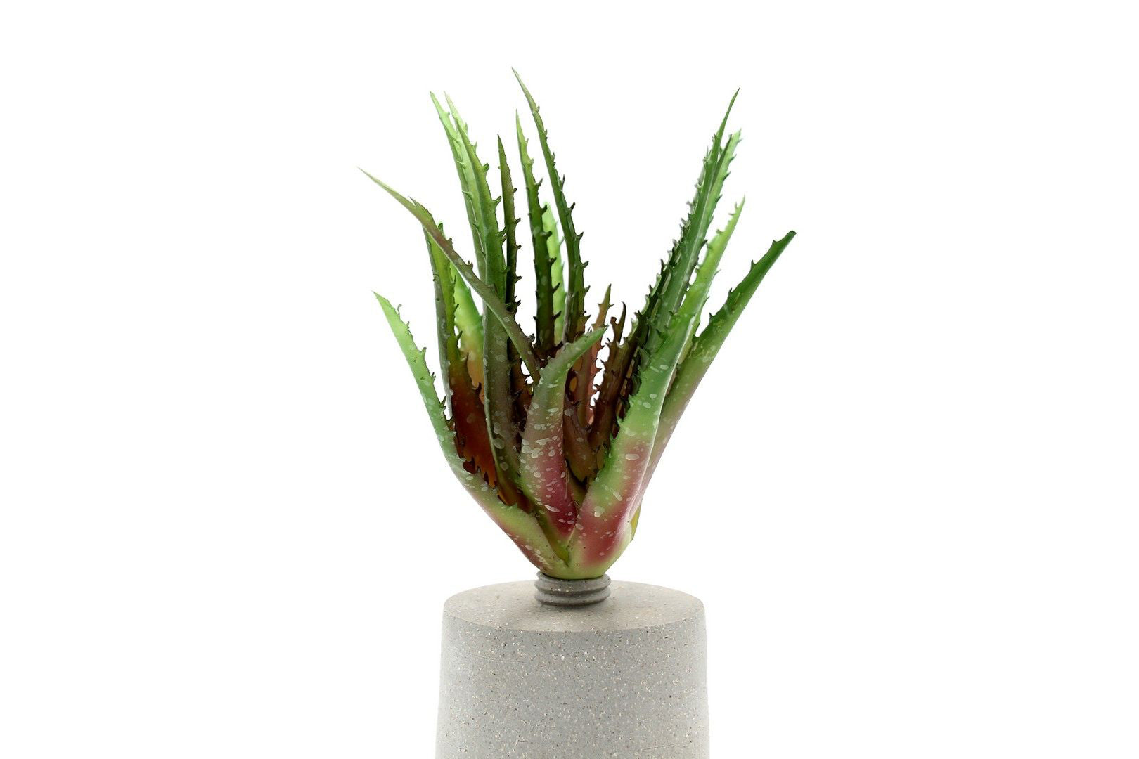 Cespuglio di Aloe Scura: piante artificiali di qualità  - 231658,74