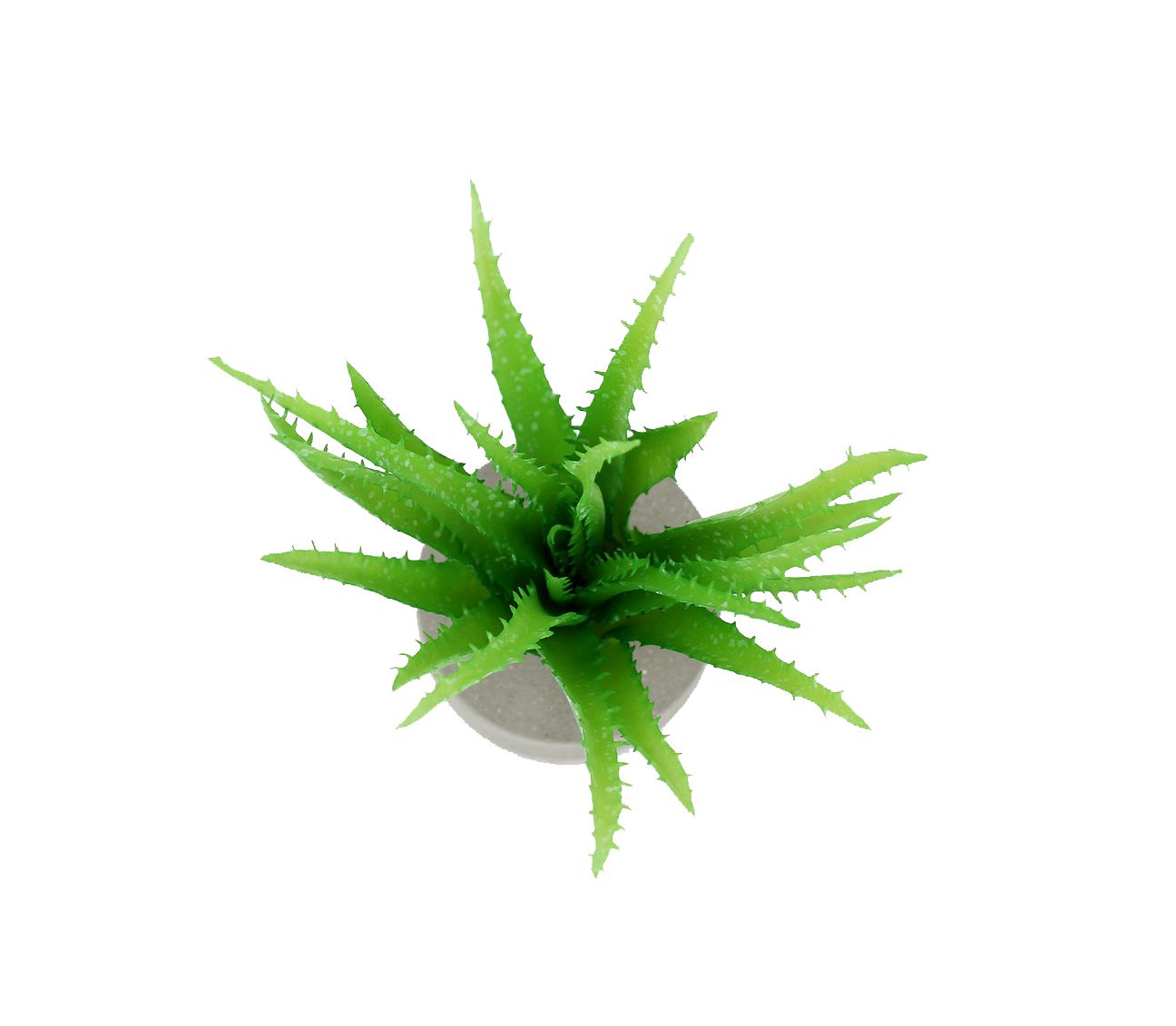 Cespuglio di Aloe: piante artificiali di qualità  - 231658,71