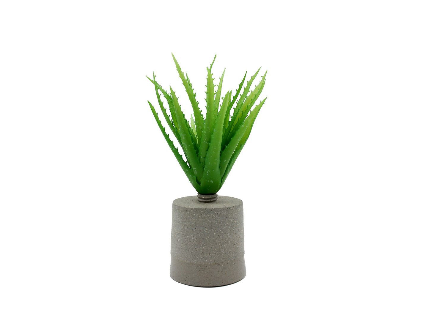 Cespuglio di Aloe: piante artificiali di qualità  - 231658,71