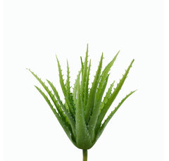 Cespuglio di Aloe: piante artificiali di qualità  - 231658,71