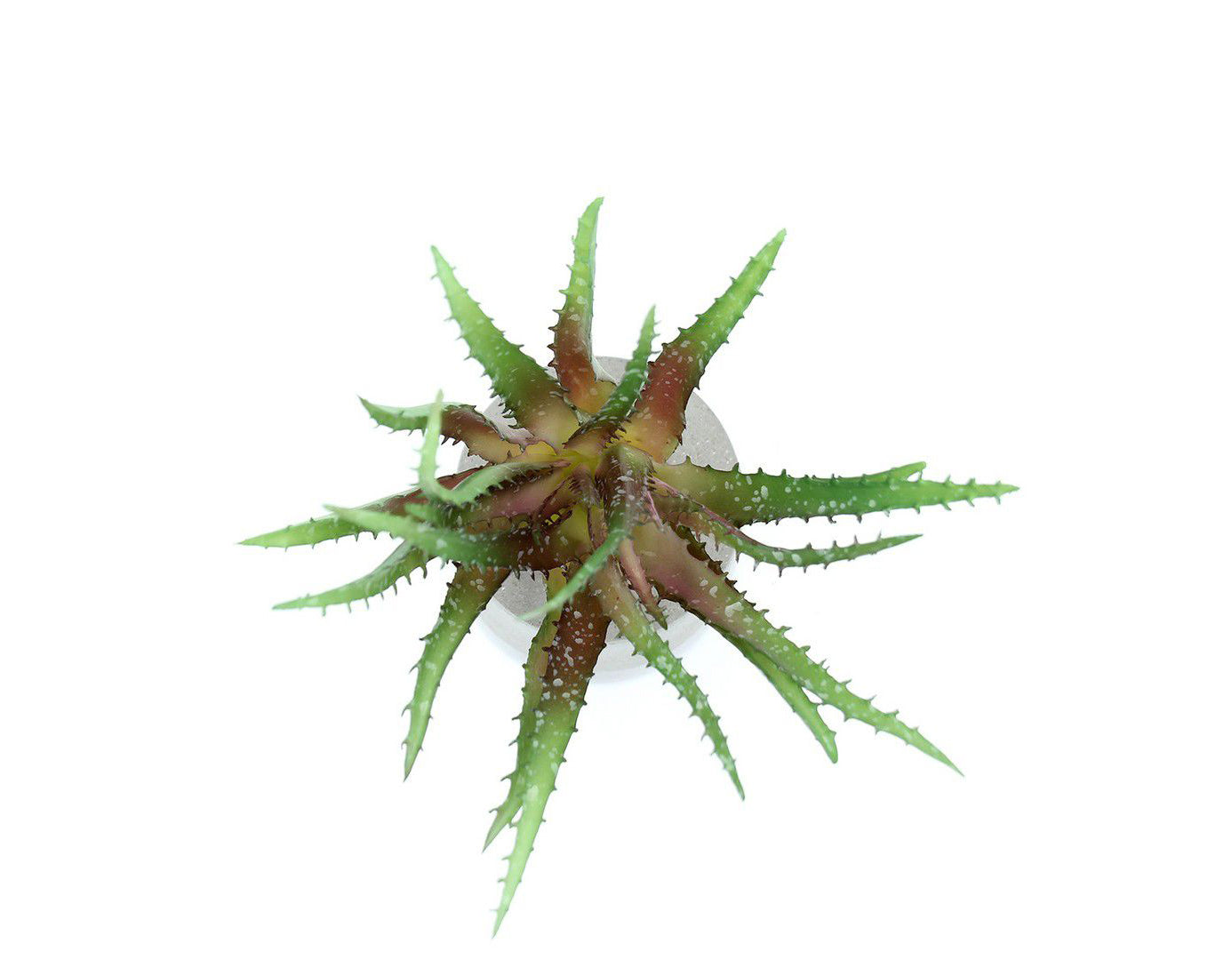 Cespuglio di Aloe Scura: piante artificiali di qualità  - 231658,74