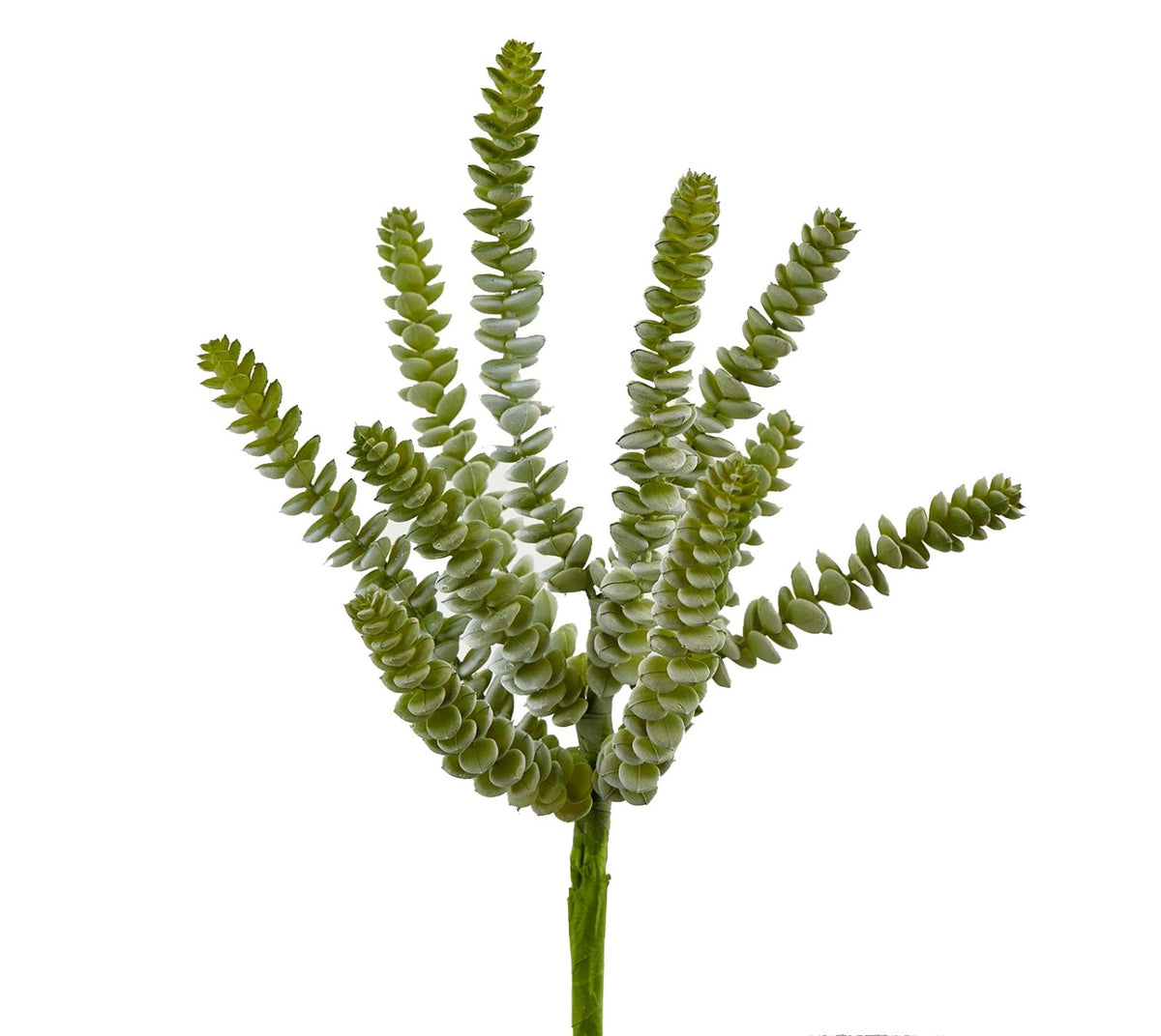 Pianta Sedum Logan artificiale : Piante succulente artificiali - 231420-88